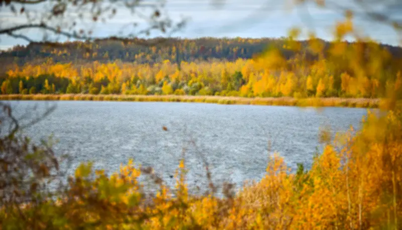 Runstedter See bei Großkayna: Investor plant Tourismusprojekt mit Bürgerbeteiligung