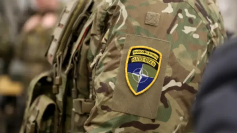 Russische Propaganda droht mit Estland-Invasion: Wie reagiert die Nato auf Putins Eskalation?