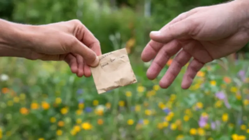 Saatgutfestival in Halle: Nachhaltiges Gärtnern und samenfeste Sorten im Fokus