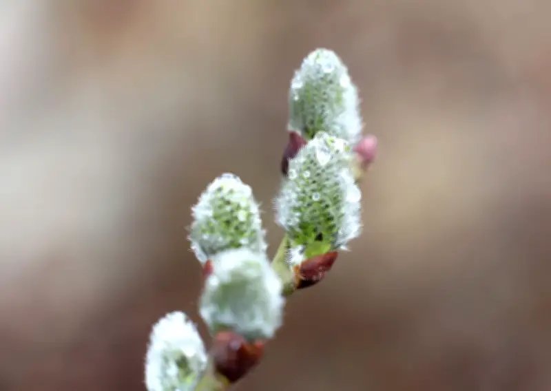 Sachsen-Anhalt: Gewitter und Graupel sorgen für ungemütliches Wetter