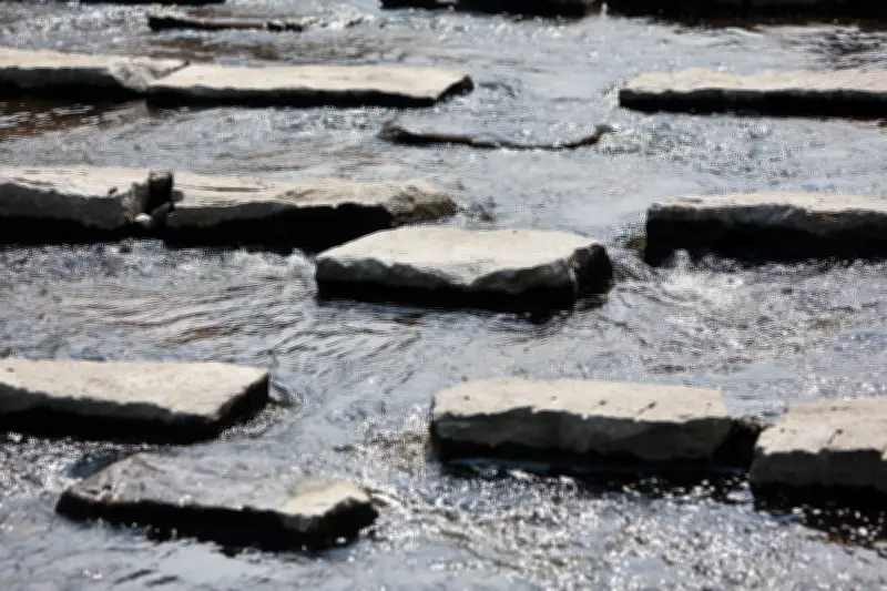 Sachsen-Anhalt investiert 10 Millionen Euro gegen Wassermangel