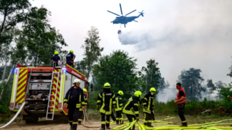 Sachsen startet Kamera-Überwachung in Wäldern zur Brandprävention