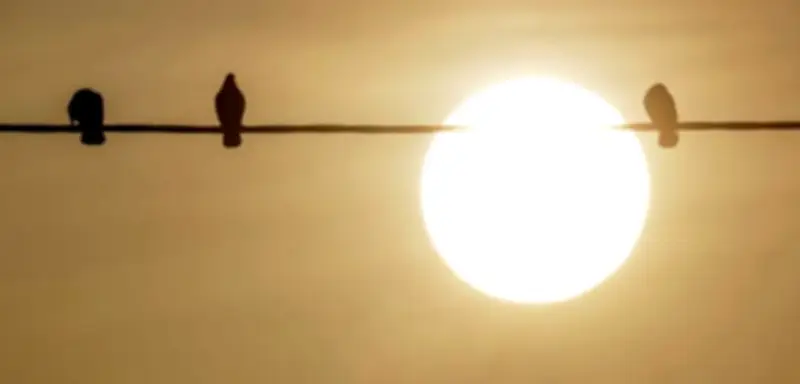 Saharastaub über Deutschland: Auswirkungen auf Allergiker, Sportler und Autofahrer