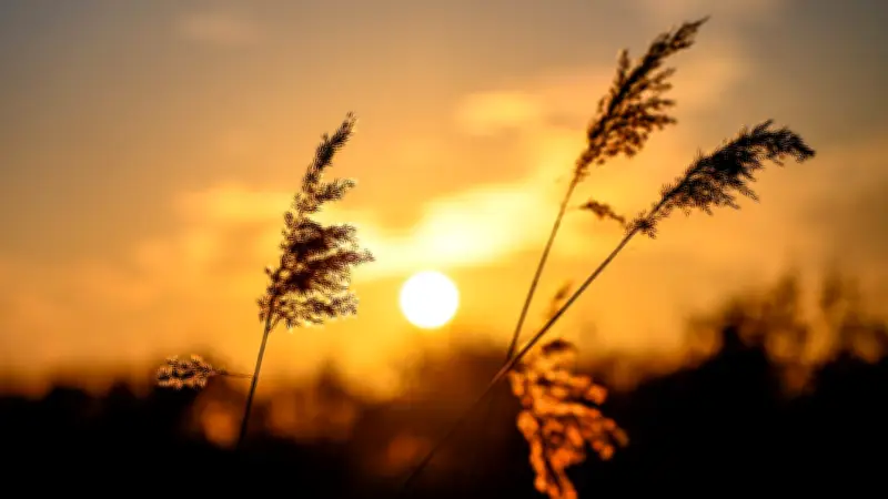 Saharastaub färbt Himmel: Wärme-Wumms nach Frühlings-Delle bringt bis zu 20 Grad