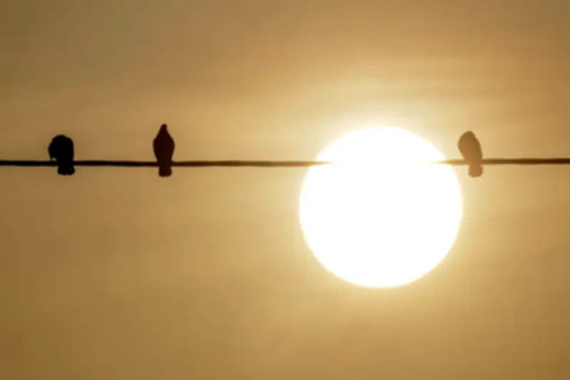 Saharastaub trübt weiterhin den Himmel: DWD warnt vor milchig-trübem Licht