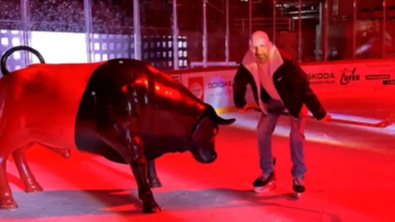 Saisonende im Eisdom Halle: Saale Bulls blicken auf erfolgreiche Premiere und planen sportliche Offensive