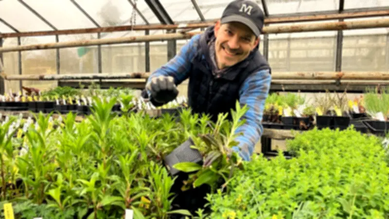 Saisonstart in Grünow: Gärtnerei Helenion öffnet mit Raritäten für Selbstversorger