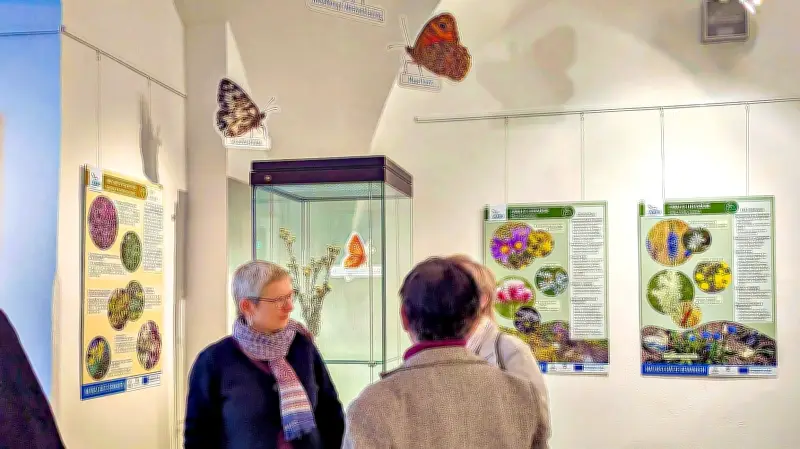 Schafe als Naturschützer: Merseburger Museum zeigt seltene Pflanzen des Saalekreises