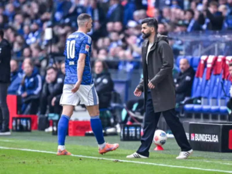 Schalke 04 legt Einspruch gegen zweispielige Dzeko-Sperre des DFB ein