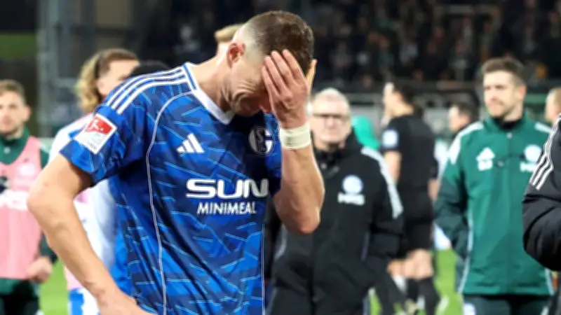 Schalkes Dzeko-Dilemma: Der Superstar braucht dringend Unterstützung seiner Mitspieler