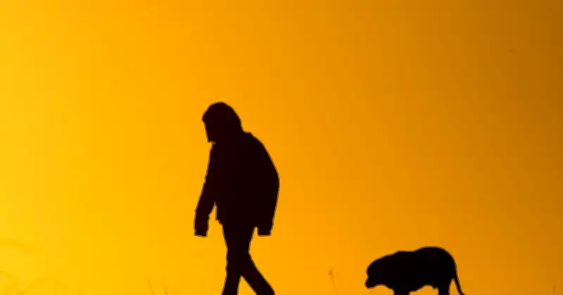 Schäferhund beißt Elfjährigen auf Schulweg in Gundelfingen – Halter flüchtet unerkannt