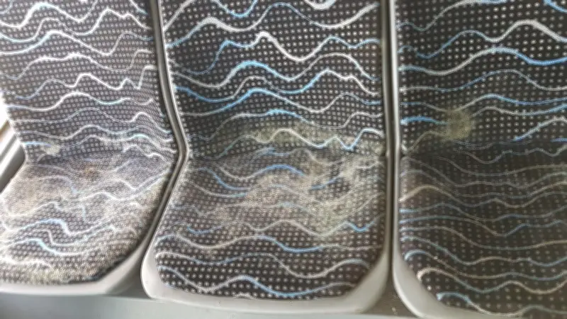 Schienenersatzverkehr in Mecklenburg-Vorpommern: Grüne fordern sofortiges Ende für Ecovista