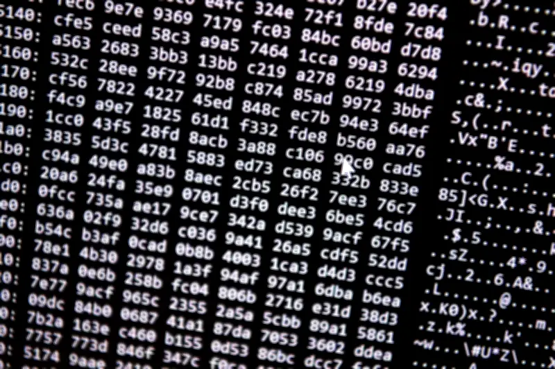 Schlag gegen Darknet: 373.000 kriminelle Seiten mit Kinderpornografie und Betrug abgeschaltet