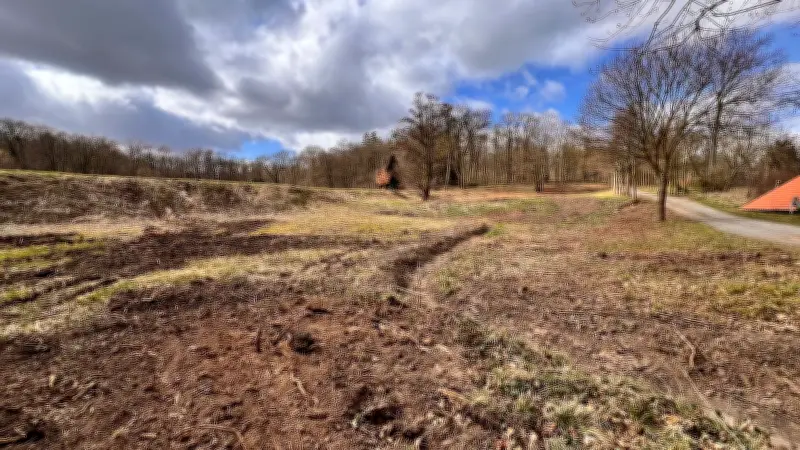 Schlosspark Ballenstedt wird zur Großbaustelle: Historische Anlage erhält umfassende Sanierung