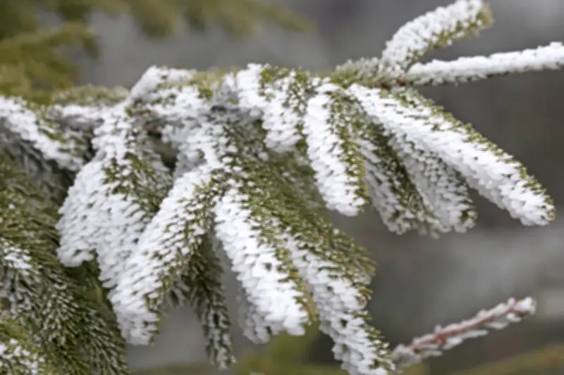 Schnee in Mittelgebirgen zum Wochenstart, danach sonnige Aussichten in Ostdeutschland