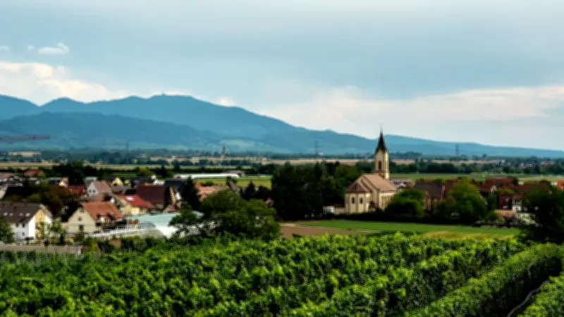 Schon wieder! Zweites Erdbeben in einer Woche erschüttert den Schwarzwald