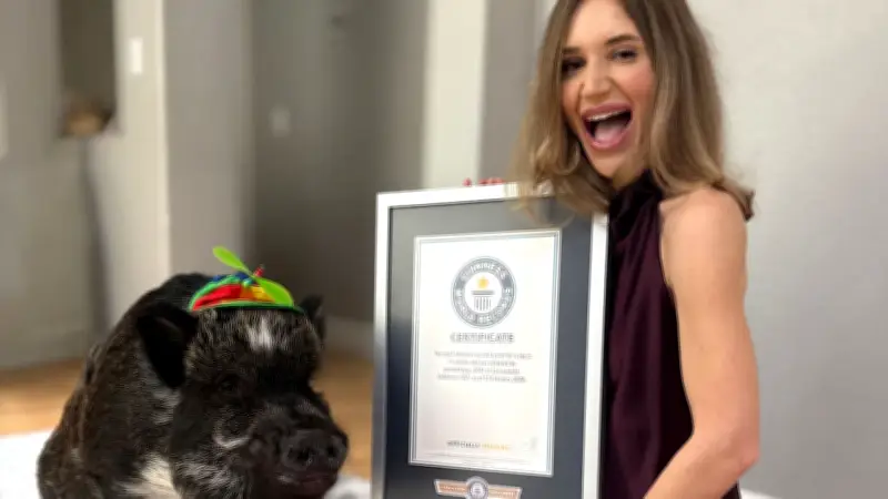 Schwein Merlin schreibt Internetgeschichte: Guinness-Rekord mit sprechenden Knöpfen