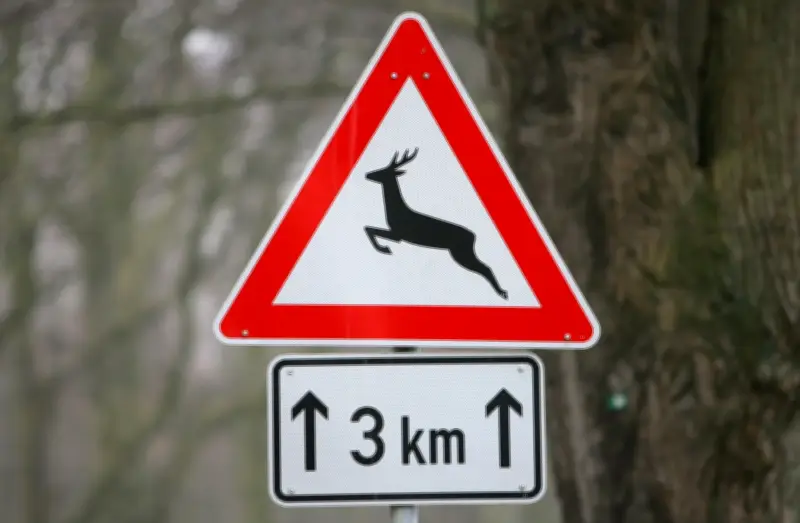 Schwerer Unfall in Uthlede: Autofahrer weicht Reh aus und kracht gegen Baum