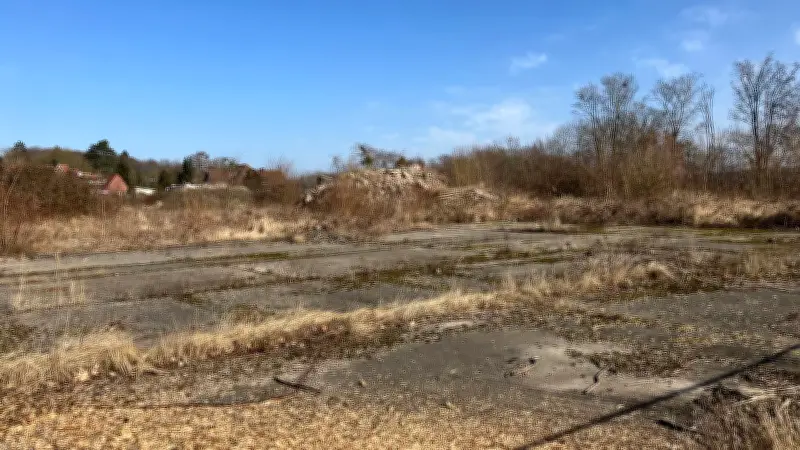 Schwerin: Investor plant 500-600 Wohnungen auf ehemaligem Möbelwerks-Gelände in Lewenberg