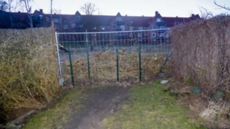 Schweriner Kleingarten-Konflikt: Zerstörter Trampelpfad spaltet Anwohner und Pächter