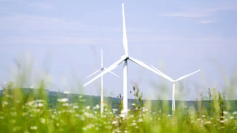 Selke-Aue im Harz lehnt Windkraft ab: Gemeinderat entscheidet gegen Öffnung