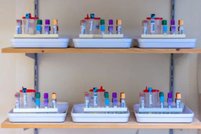 SHIP-Studie in Greifswald startet neue Untersuchungswelle mit bis zu 1.000 Probanden