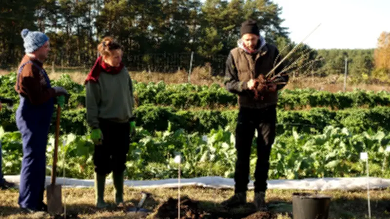 Solawi Klein Trebbow lädt zur Baumpflanzaktion für besseres Mikroklima ein
