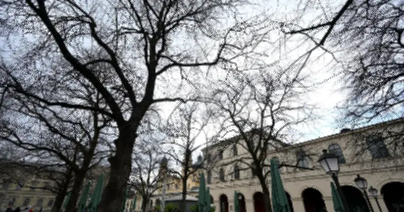 Sonniger Donnerstag in Bayern: Bis zu 17 Grad nach kühler Nacht