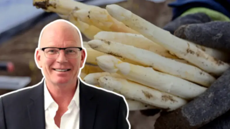 Spargelpreis-Debatte: Gutachten fordert niedrigeren Mindestlohn für Saisonkräfte