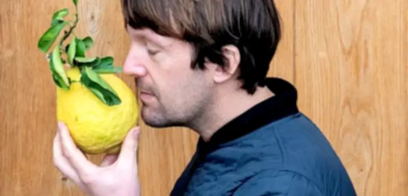 SPIEGEL Plus und Effilee: Zugangsprobleme und Abo-Optionen im Überblick