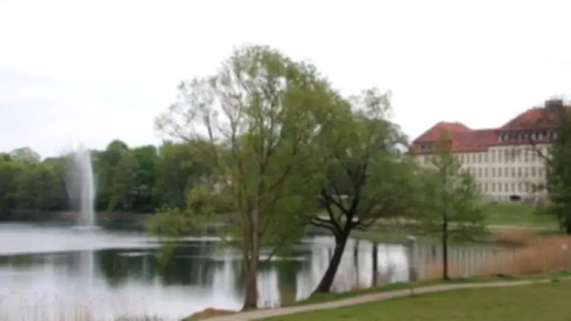 Stadtwerke Neustrelitz feiern 35-jähriges Jubiläum mit spektakulärem Fontänenfest