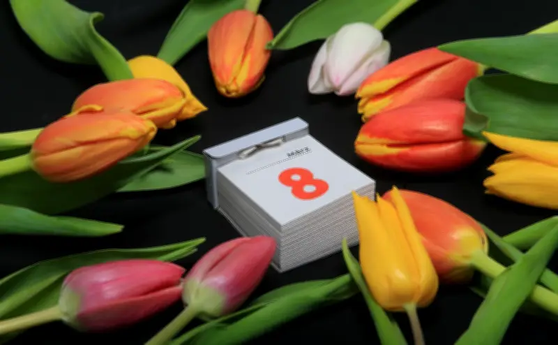 Statistisches Porträt: Frauen in Sachsen-Anhalt sind älter, arbeiten häufiger und leben vielfältig