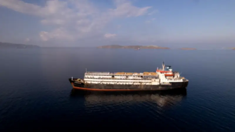 Österreichische Firma im Zentrum von Tiertransport-Skandal mit 2900 Rindern