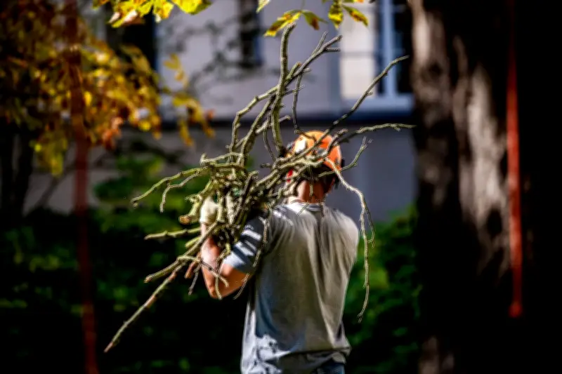 Steuern sparen mit Gartenpflege: Bis zu 4.000 Euro jährlich absetzen
