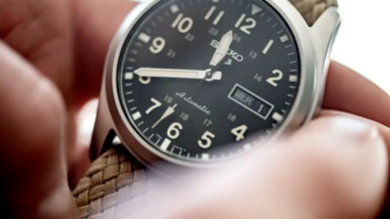 Storch mit perfektem Timing: Afrika-Heimkehrer übertrifft Deutsche Bahn in Pünktlichkeit