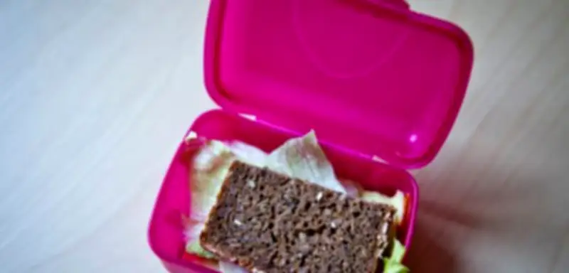 Streit um Pausenbrot während Ramadan in NRW-Schule: Religionsforscherin mahnt Gelassenheit