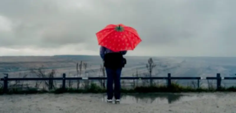 Strukturwandel im Rheinischen Revier: Milliarden für Birnbäume statt Braunkohle