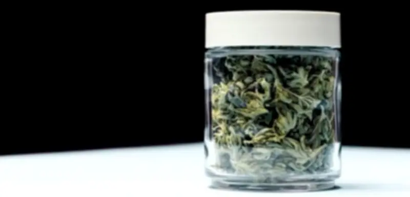 Studie zu medizinischem Cannabis: Kein belegbarer Nutzen bei psychischen Erkrankungen