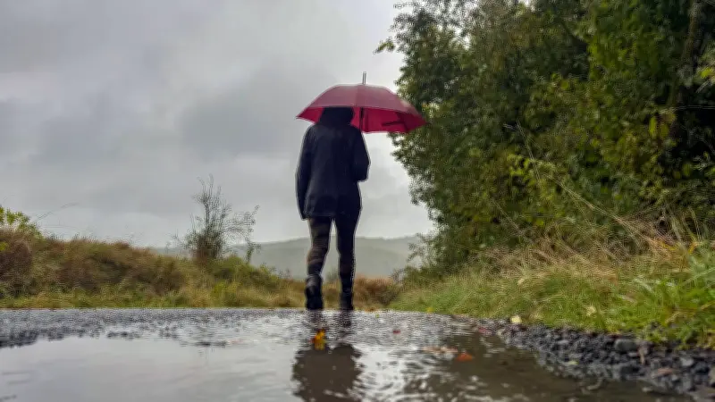 Sturmböen und Glätte: Unbeständiges Wetter zum Wochenstart in Sachsen-Anhalt