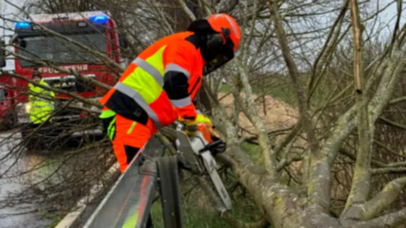 Sturmtief fordert Feuerwehr in Gadebusch: Bäume stürzen auf B208 und Scheibenberg