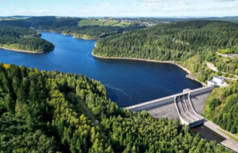Tag des Waldes: Sachsens Forstminister betont wirtschaftliche Bedeutung gesunder Wälder