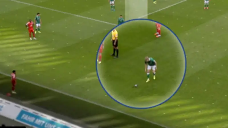 Tauben-Drama im Abstiegskampf: Werder Bremen verliert kuriose Partie gegen Mainz 05