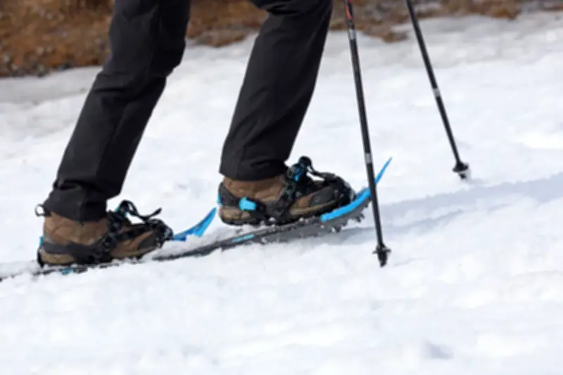 Tödlicher Lawinenabgang in Tirol: Deutscher Schneeschuh-Wanderer stirbt im Stubaital