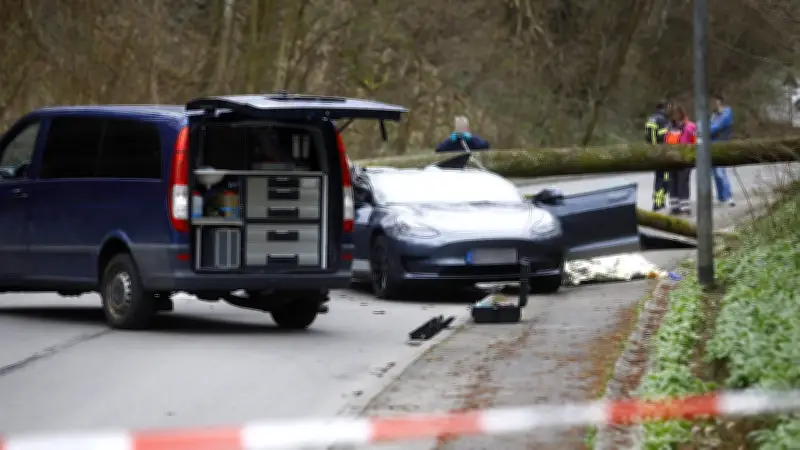 Tödlicher Unfall auf Landstraße bei Stuttgart: Baum stürzt auf Tesla - Fahrer (55) verstorben