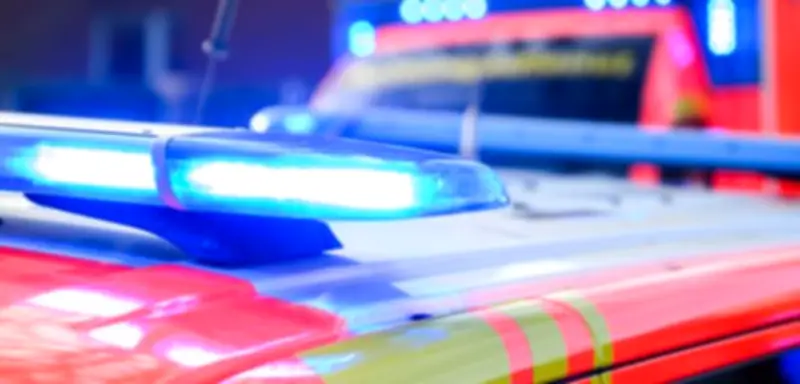 Tödlicher Unfall in Hessen: 26-Jähriger kollidiert mit frei laufendem Pferd