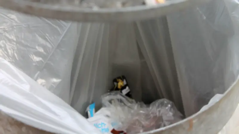 Templin: 150.000 Euro für Papierkörbe - Reicht eine Kehrmaschine für saubere Kurstadt?