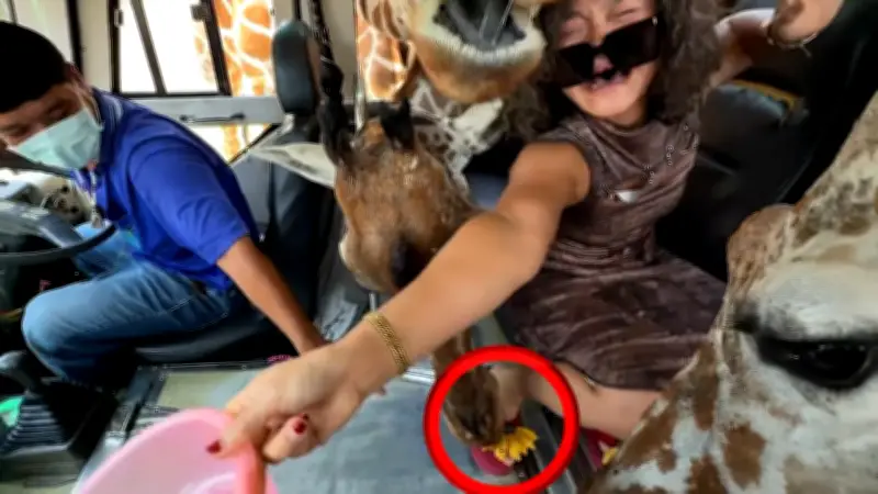 Thailand-Safari: Giraffen stürmen Bananen-beköderten Touristenbus