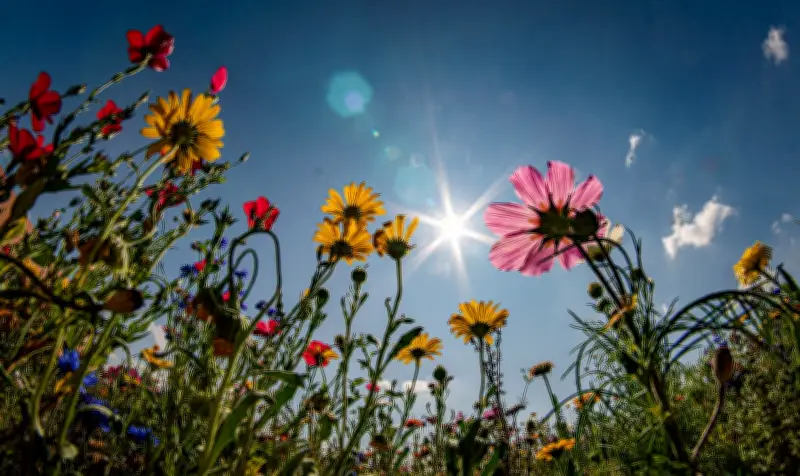 Thüringen zahlt 32 Millionen Euro für Naturschutz auf Äckern und Wiesen