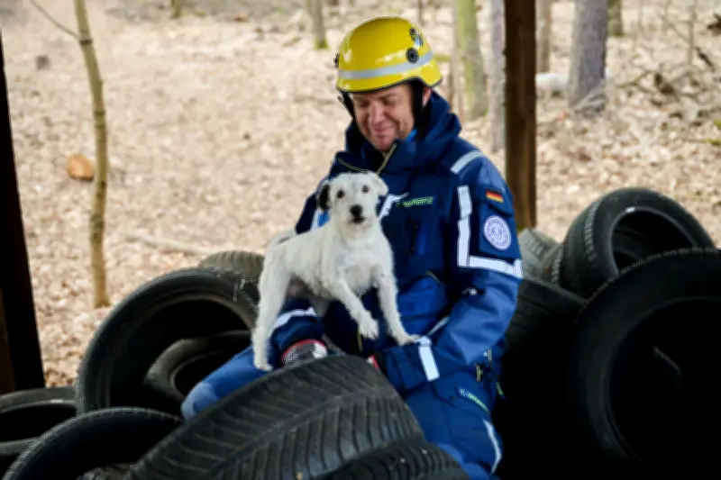 THW-Rettungshunde trainieren Sucheinsätze bei Vernetzungstreffen in Berlin