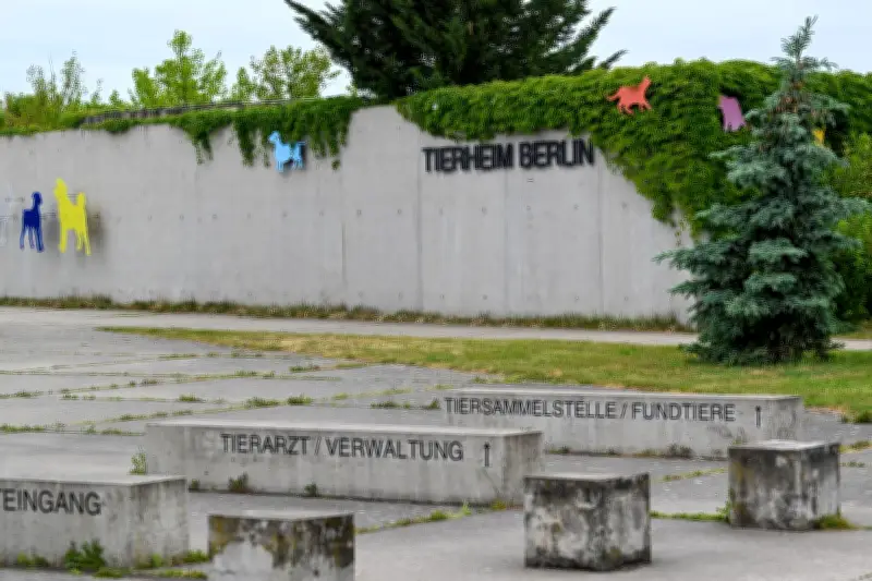 Tierheim Berlin verstärkt Sicherheit nach Fund toter Graugans - Vogelgrippe-Verdacht